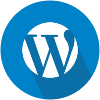 Custom Wordpress Development